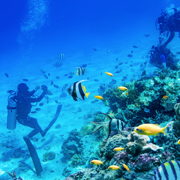 Adobe-Express-file-2 (5)